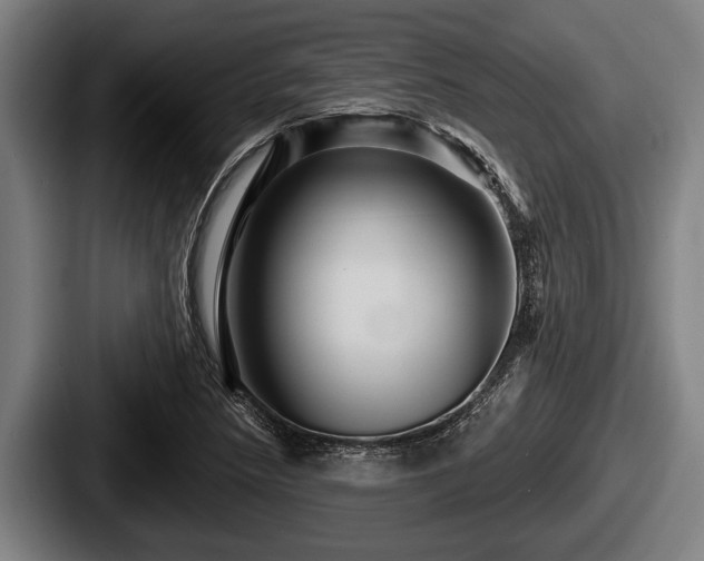 X0000087681218200705111253