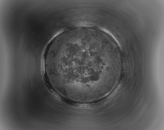 X0000087681219200705111254