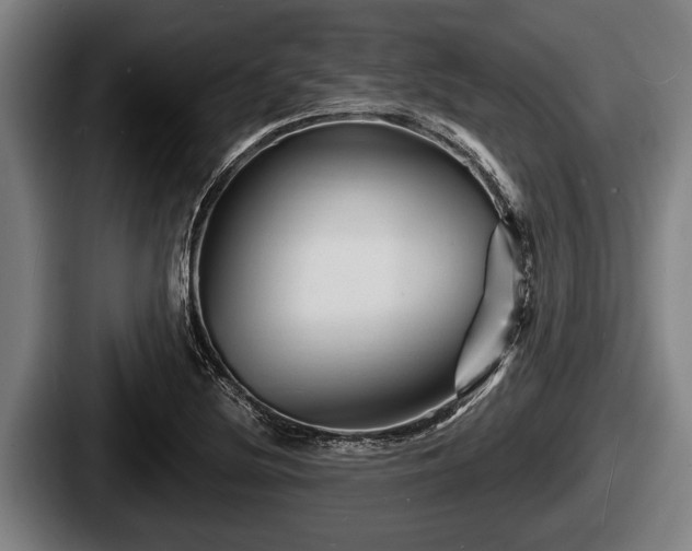 X0000087681220200705111254