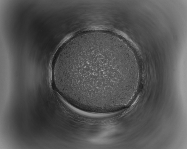 X0000087681221200705111254