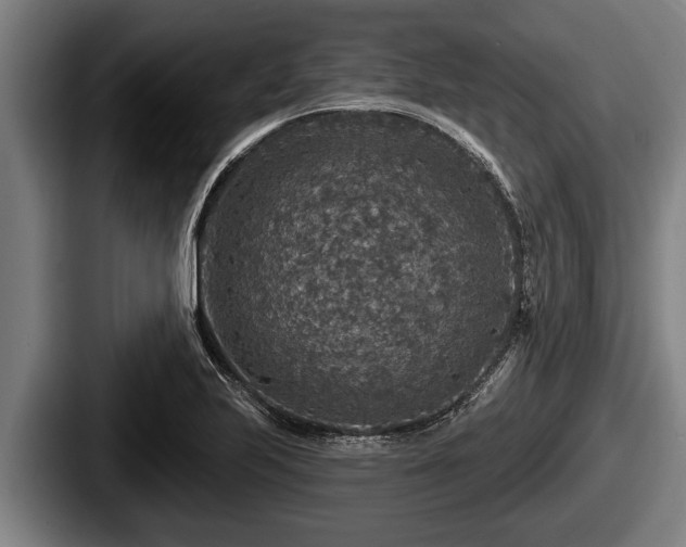 X0000087681223200705111254