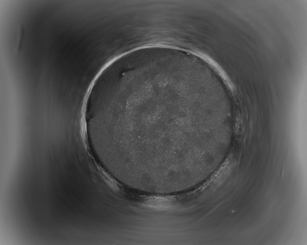 X0000087681224200705111254