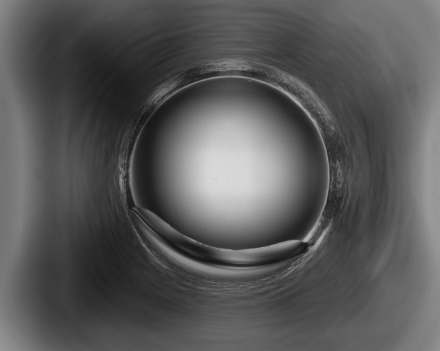 X0000087681225200705111254