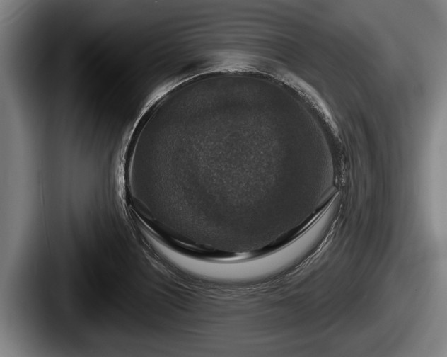 X0000087681226200705111254