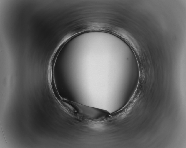 X0000087681227200705111254