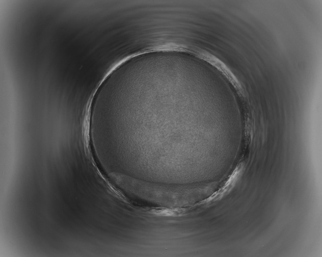 X0000087681228200705111254