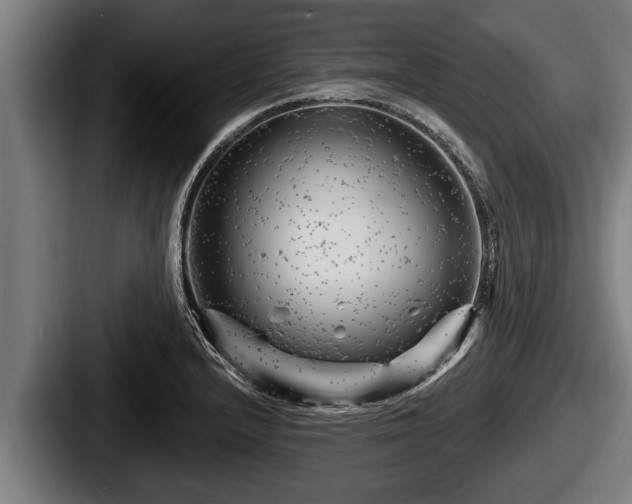 X0000087681232200705111254
