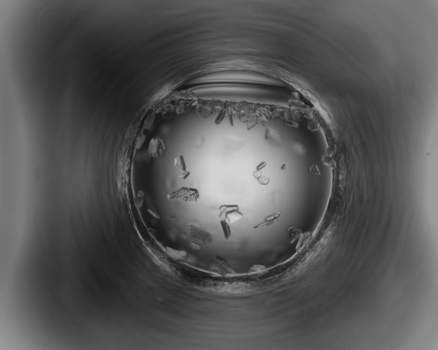 X0000087681233200705111254