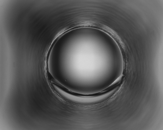 X0000087681234200705111254