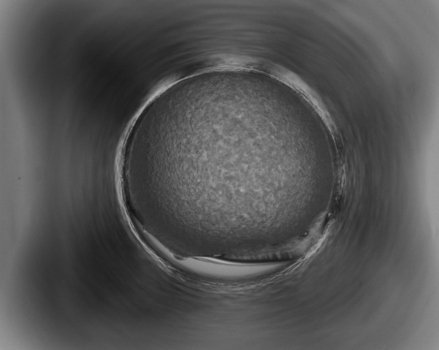 X0000087681235200705111254