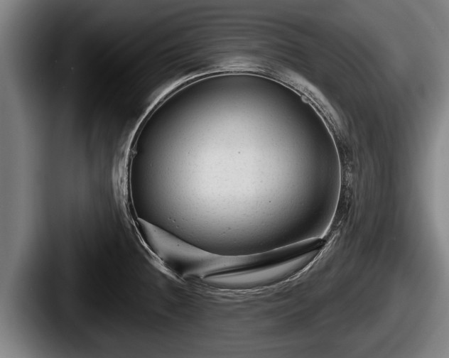 X0000087681236200705111254