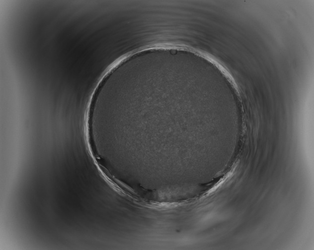 X0000087681237200705111254