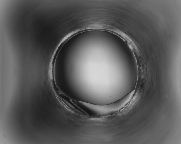 X0000087681238200705111254