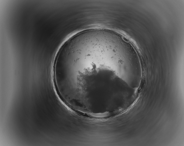 X0000087681239200705111254
