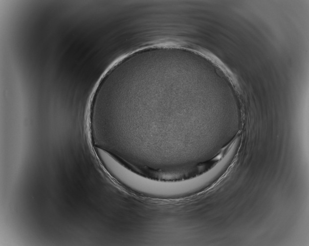 X0000087681240200705111254