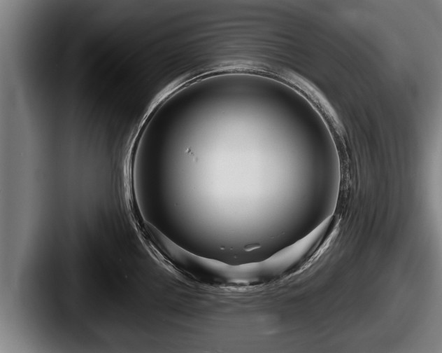 X0000087681242200705111254