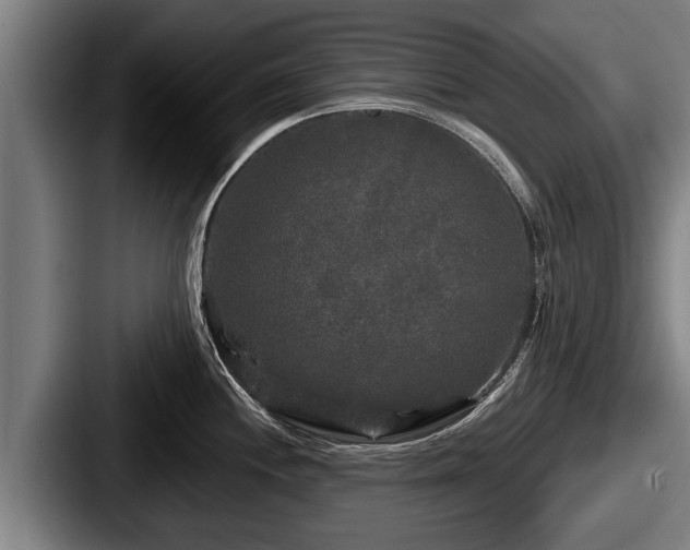 X0000087681244200705111254