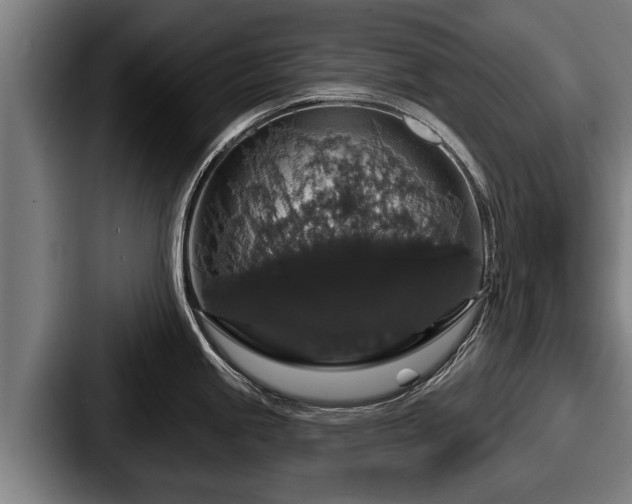 X0000087681245200705111254