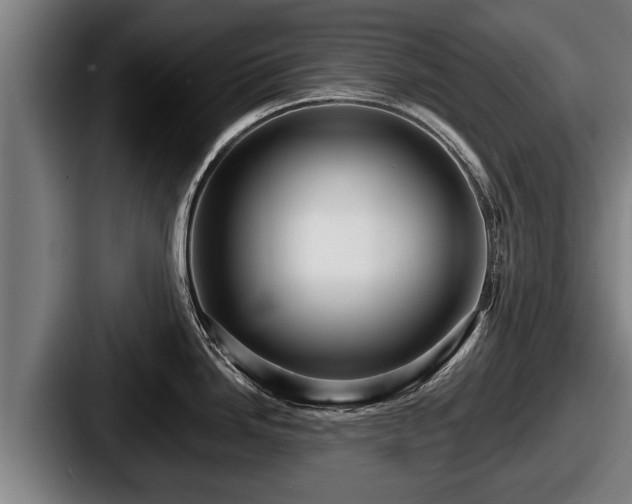 X0000087681246200705111254