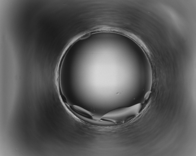 X0000087681247200705111254