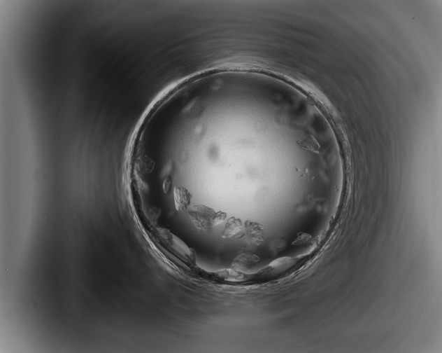 X0000087681248200705111254
