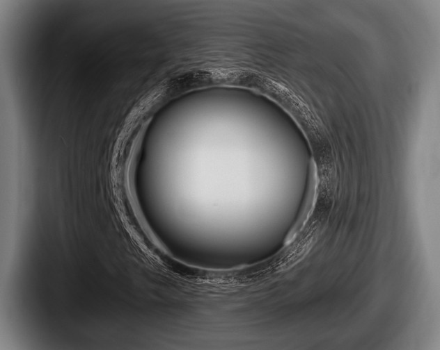 X0000087681249200705111253
