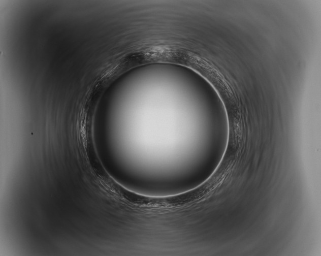 X0000087681250200705111253