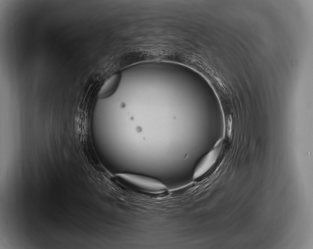 X0000087681251200705111253