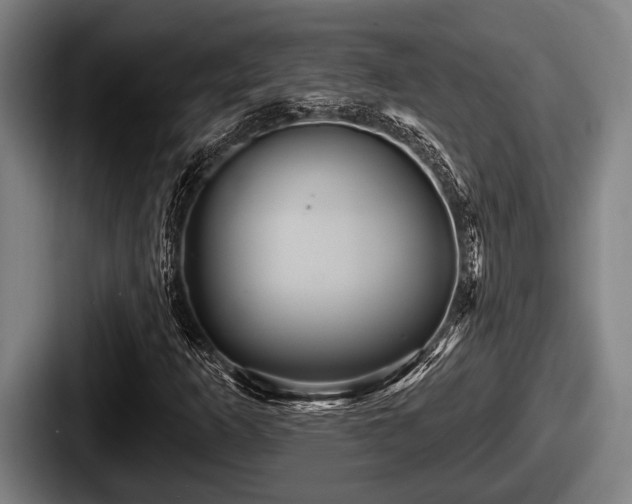 X0000087681253200705111253