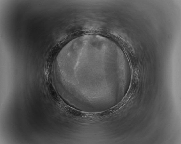 X0000087681254200705111253