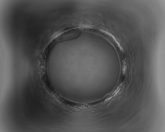 X0000087681255200705111253