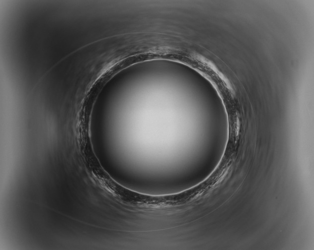 X0000087681256200705111253