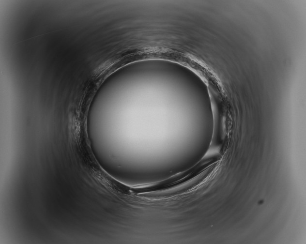 X0000087681257200705111253