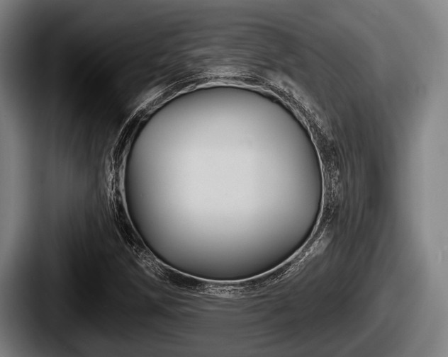 X0000087681258200705111253