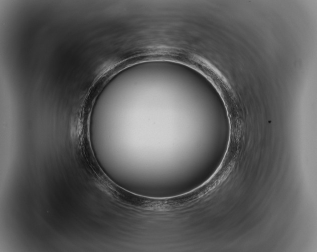 X0000087681259200705111253