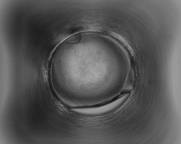 X0000087681260200705111253