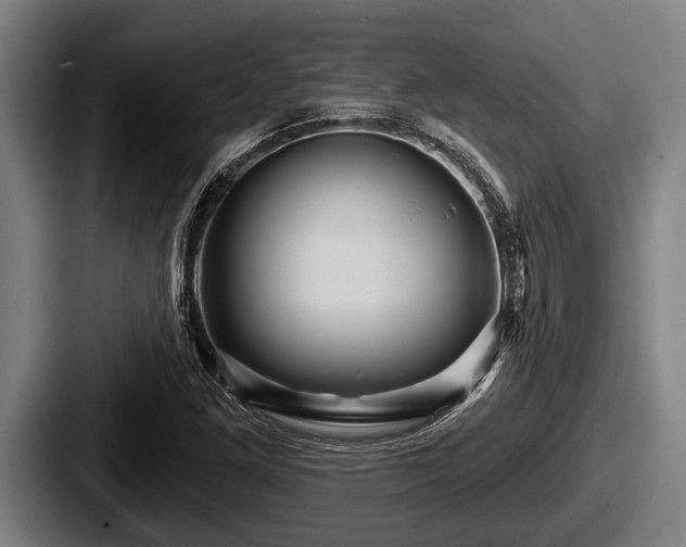 X0000087681261200705111253