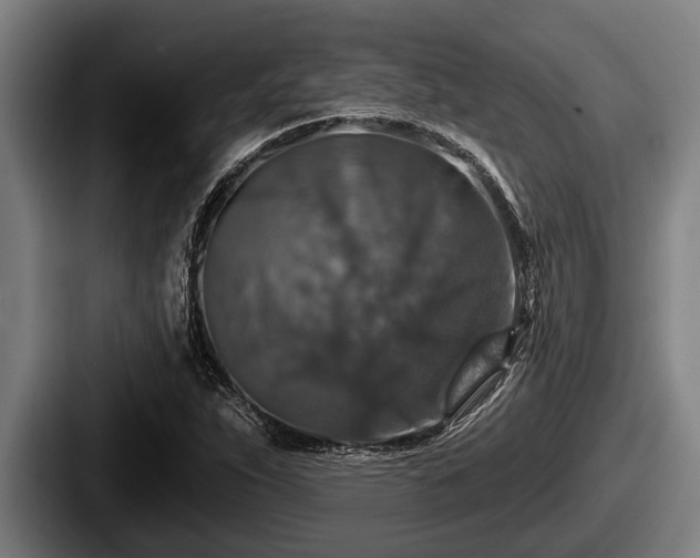 X0000087681263200705111253