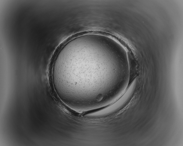 X0000087681264200705111253