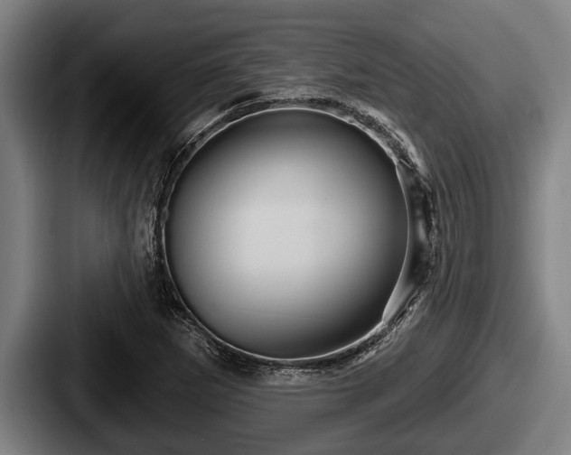 X0000087681265200705111253