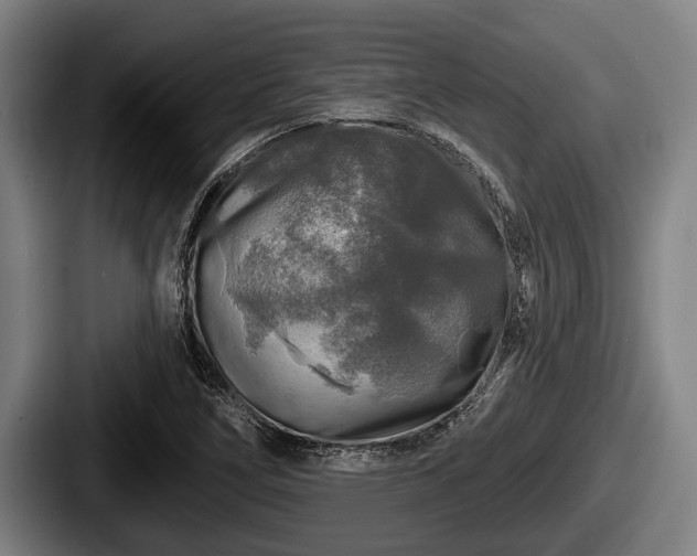 X0000087681266200705111253