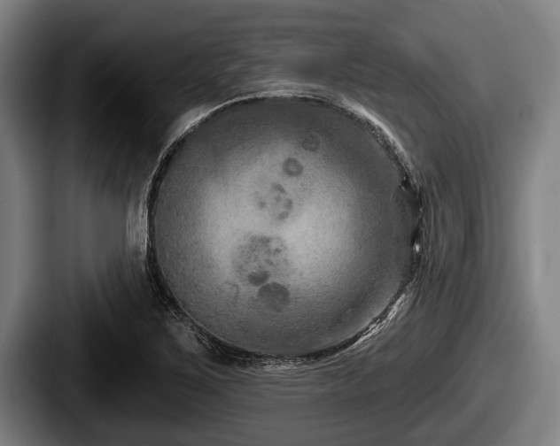 X0000087681267200705111253