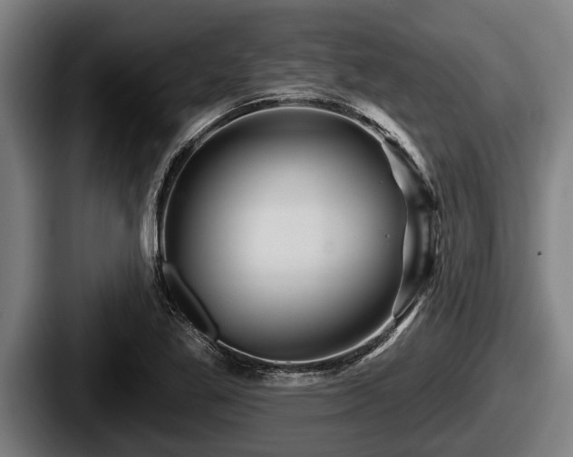X0000087681269200705111253