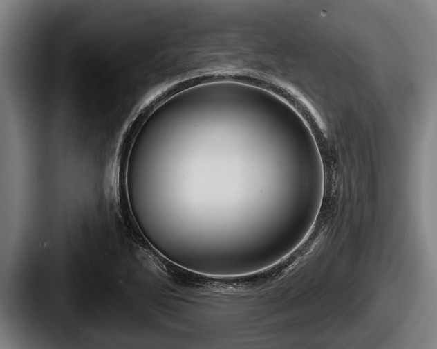 X0000087681270200705111253