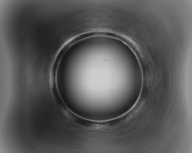 X0000087681271200705111253