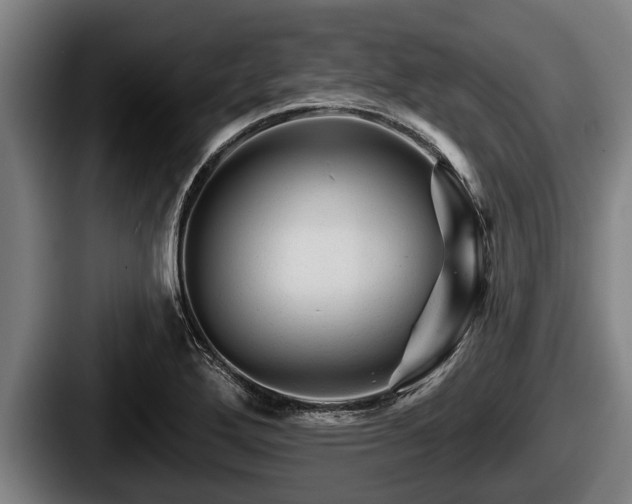 X0000087681272200705111253