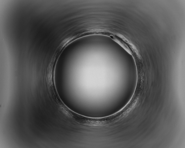 X0000087681273200705111253