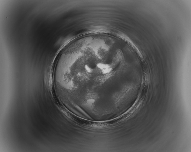X0000087681274200705111253