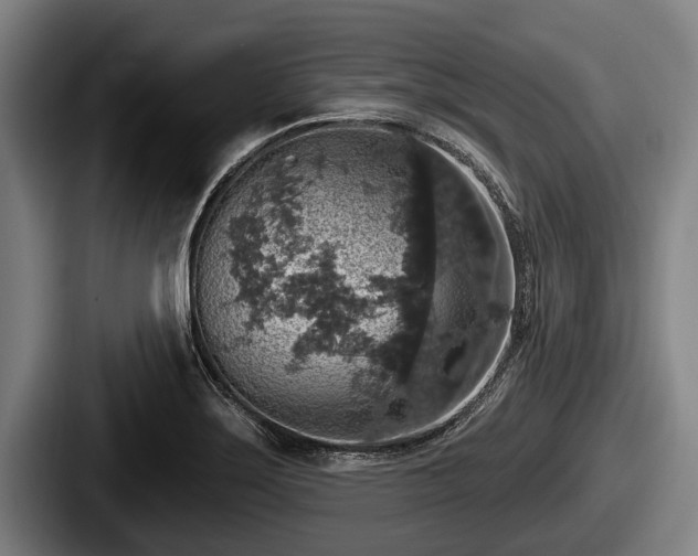 X0000087681275200705111253