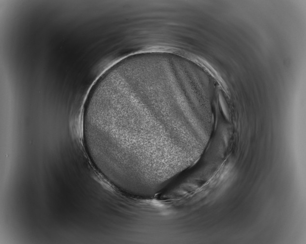 X0000087681276200705111253